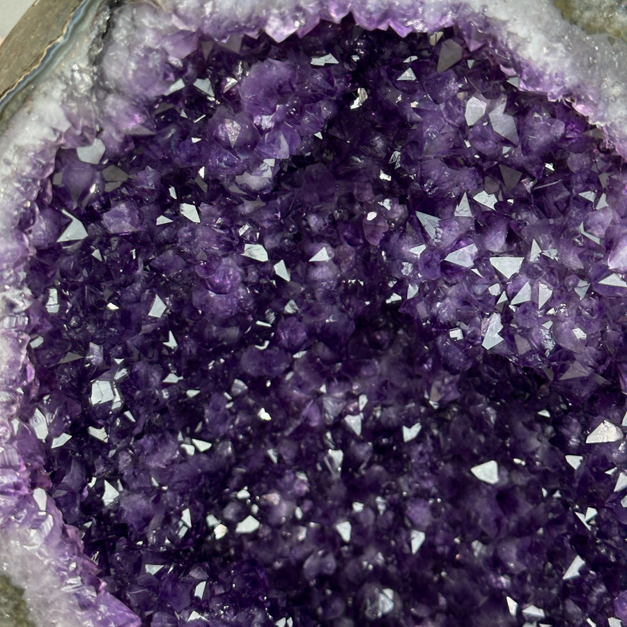 XXL Natural Amethyst Geode, Collection Grade Specimen - AWS1095