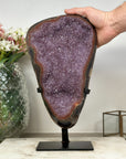 Huge Natural Amethyst Cluster with Red Agate Shell - AWS1355