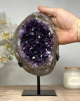 Beautiful Natural Amethyst Geode with Quartz Shell - MWS1652