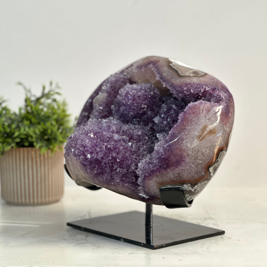 XXL Natural Amethyst Specimen with Stunning Calcite Crystals and Pink Shell - MWS0803