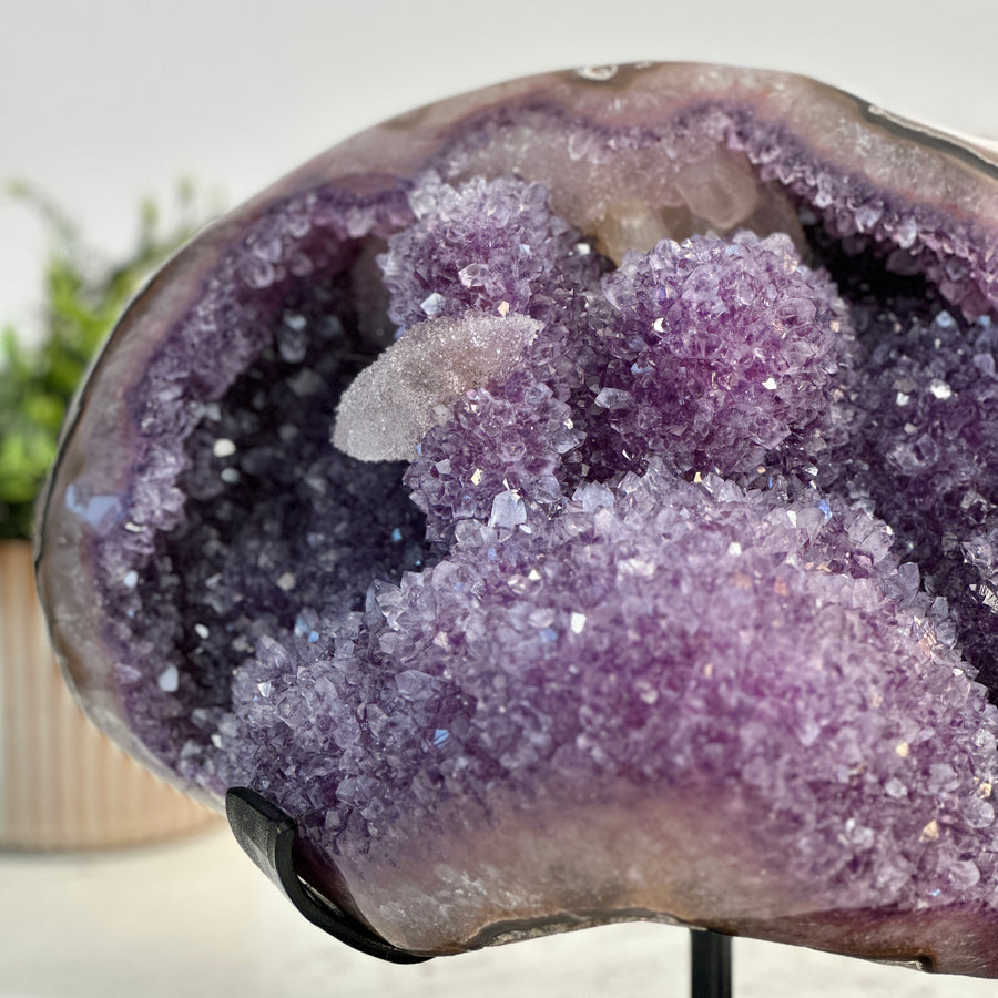 XXL Natural Amethyst Specimen with Stunning Calcite Crystals and Pink Shell - MWS0803
