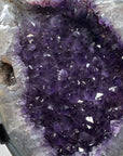 Natural Uruguayan Amethyst Geode with agate Shell - MWS1265