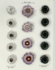 Amethyst, Quartz & Green Jasper Stalactite Slices Wholesale Flat - Ideal for Pendants - STS0009