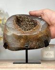 Spectacular Natural Yellow Sugar Druzy Geode - MWS1535