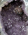 Large Natural Amethyst Geode with Agate Shell - MWS1669