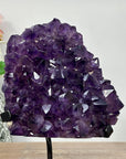 Unique Amethyst Clusyer with Large & Shiny Crystals - Vibrant Plant Arrangement Enhancer - MWS0783