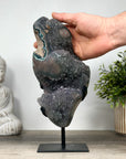 Huge Large Natural Green Tone Quartz Specimen, Stand included - MWS0073