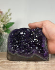 Top Grade Natural Amethyst Geode - CBP0904