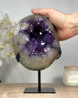 Natural urguuayan Amethyst Geode with Cuarz Shell - MWS1375