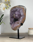 Rare Natural Amethyst Cluster with Black Hematite Formation - MWS1717