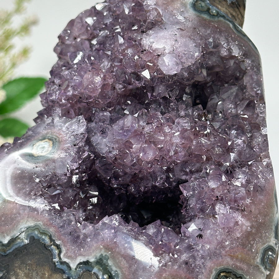 Stunning Amethyst Cathedral Geode with Formations - CBP0287