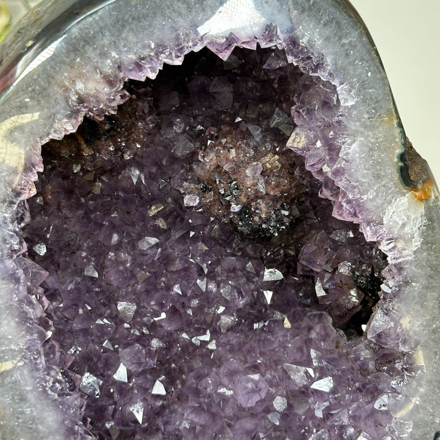 Large Natural Amethyst Geode with Agate Shell - MWS1669