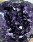 Large Natural Amethyst Geode with Large & Shinny Crystals - MWS1726