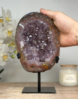 Natural Large Amethyst Cluster with Beautiful Red Banding Shell - MWS1704