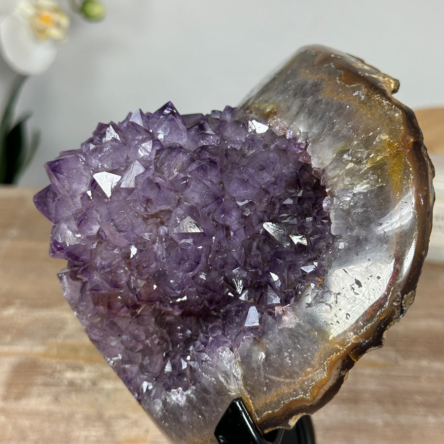 Natural Amethyst Geode with Stunning Crystal Formation - MWS1636