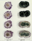 Unique Amethyst & Green Jasper Stalactite Slices Set - Natural Crystal for Handmade Jewelry - STS0030