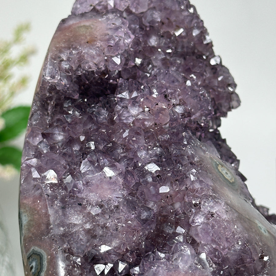 Stunning Amethyst Cathedral Geode with Formations - CBP0287