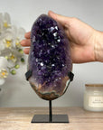 Premium Quality Uruguayan Amethyst Crystal Cluster - MWS1655