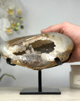 Natrual Quartz Geode with Metallic Stand - MWS1301