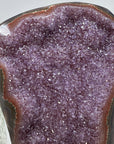 Huge Natural Amethyst Cluster with Red Agate Shell - AWS1355