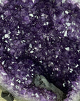 XXL Natural Amethyst Geode, Collection Grade Specimen - AWS1095