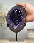 A+ Grade Uruguayan Amethyst Crystal Geode - MWS1578