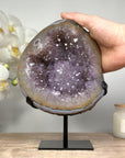 Uruguayan Amethyst Geode with ue Agate Shell & Stalacite Formation - MWS1362