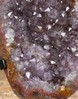 Natural Large Amethyst Cluster with Beautiful Red Banding Shell - MWS1704