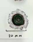 Genuine Amethyst & Green Jasper Stalactite Slices Flat - Perfect for Crafting Unique Jewelry - STS0007