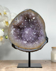 Uruguayan Amethyst Geode with ue Agate Shell & Stalacite Formation - MWS1362