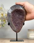 Shinny Druzy Amethyst Geode with Quartz Shell - MWS1586