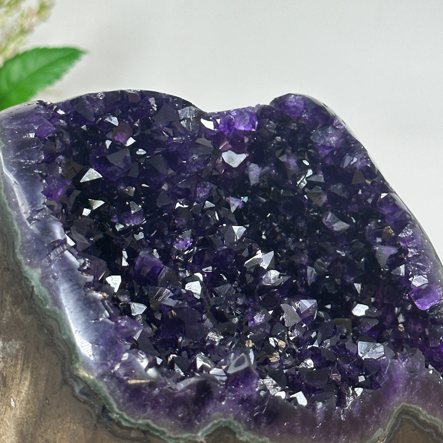 Top Grade Natural Amethyst Geode - CBP0904