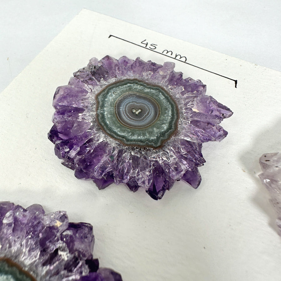 High-Quality Amethyst Stalactite Slices for Jewelers - Wholesale Bulk Pack - STS0019