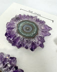 High-Quality Amethyst Stalactite Slices for Jewelers - Wholesale Bulk Pack - STS0019