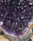 Amethyst Geode with Quartz Shell - MWS1259