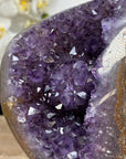 Outstaning Natural Amethyst Geode with Stalactite Formation - MWS1703