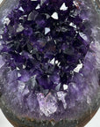 A+ Grade Uruguayan Amethyst Crystal Geode - MWS1578