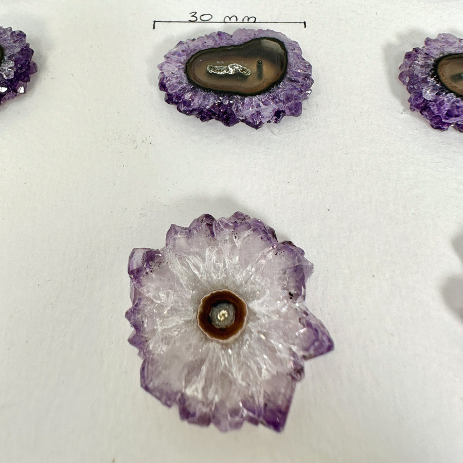 Unique amethyst &amp; Quartz Stalactite Slices Set - Natural Crystal for Handmade Jewelry - STS0020