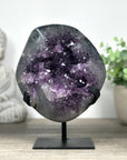 Natural Amethyst Geode with Handmade Stand, Ready to Display Specimen - MWS0106