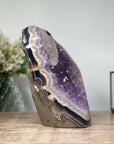 Unique Amethyst Geode, Calcite Crystal, Agate & Jasper Shell - CBP0412