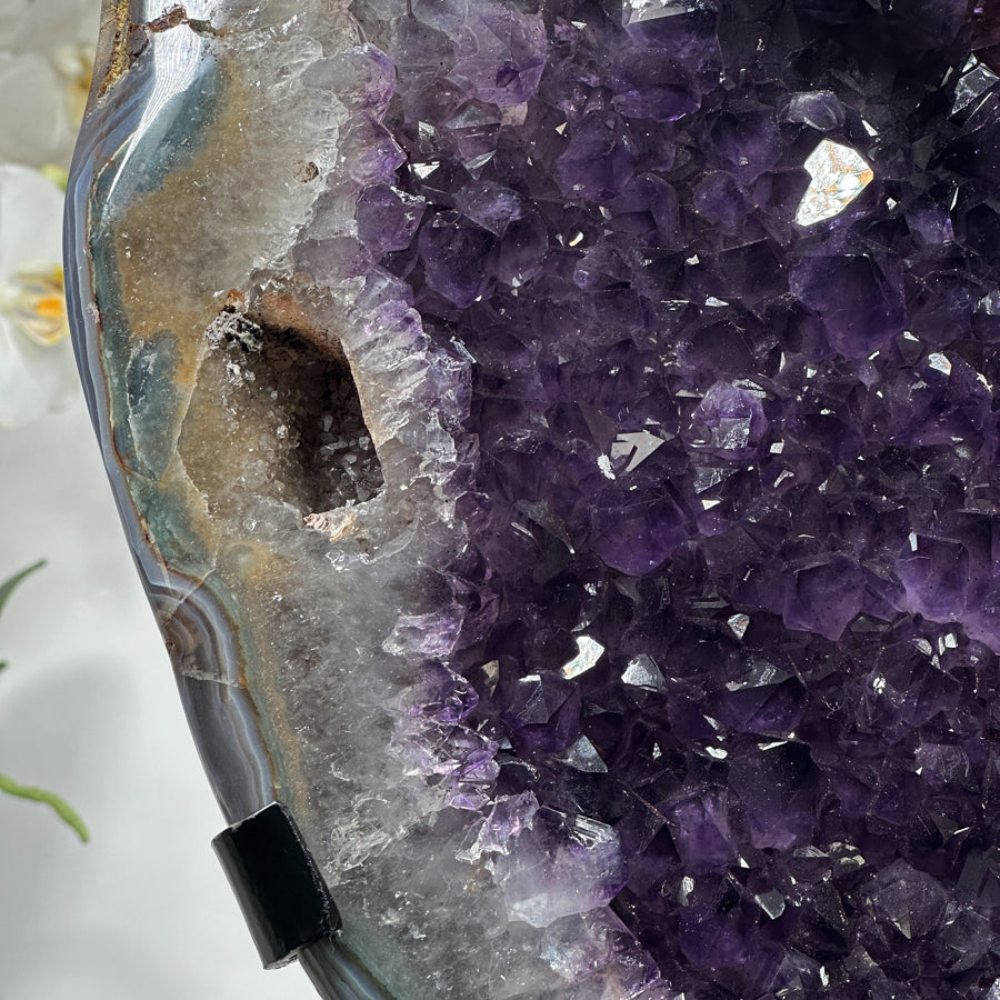 Natural Uruguayan Amethyst Geode with agate Shell - MWS1265