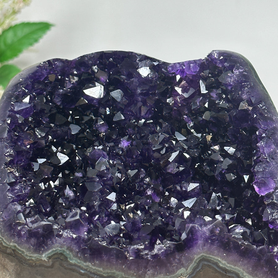 Top Grade Natural Amethyst Geode - CBP0904