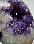 Natural urguuayan Amethyst Geode with Cuarz Shell - MWS1375