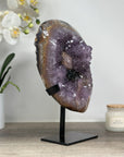 Rare Natural Amethyst Cluster with Black Hematite Formation - MWS1717