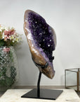 Rare Amethyst & Quartz with Double Crystallization Cluster - Ideal for home Decor - MWS0922