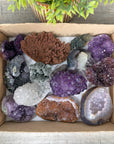 Mineral Specimens Lot - MSLT0156