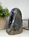 Outstanding Amethyst Geode Cave with Deep Purple A grade Crystals - CBP1022