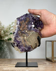 Rare Amethyst & Jasper Cluster Specimen - MWS1093