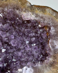 Huge Natural Amethyst Geode with Agate Shell – Perfect Home Accent - MWS1520