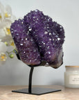 Outstanding Natural Amethyst Stalactite Specimen - MWS1603